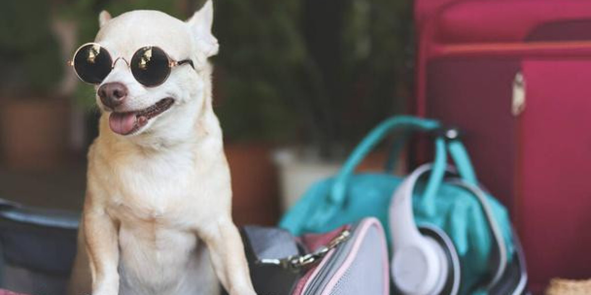 Choosing the Perfect Purse for Puppy: A Stylish and Practical Guide