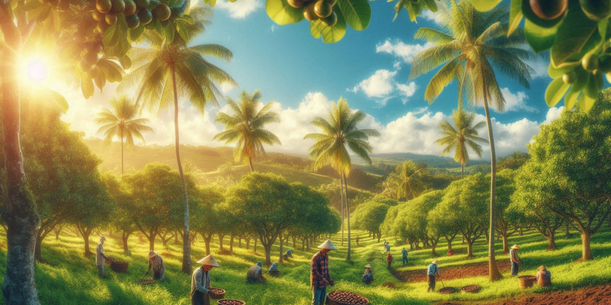 Chocolate Farm Tour Big Island: A Sweet Adventure in Hawaii