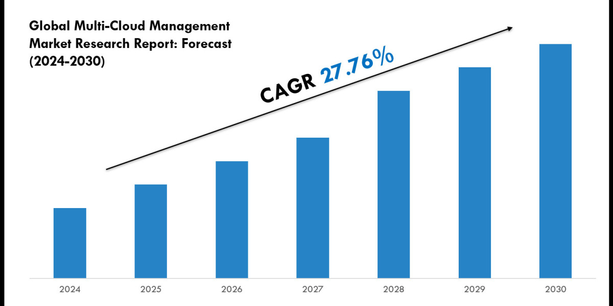 2024 Outlook: Multi-Cloud Management Market Growth and Future Trends