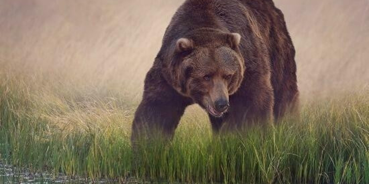 Pelican Staffing Nigeria