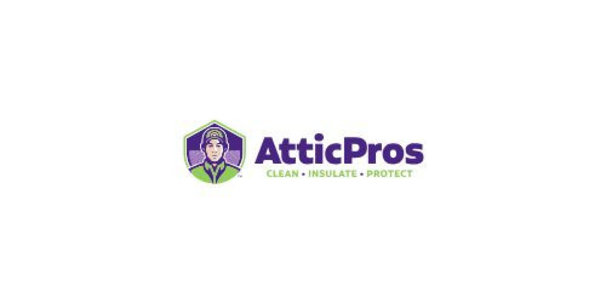 Simple Guide to Rat Pest Control for a Safe and Happy Home
